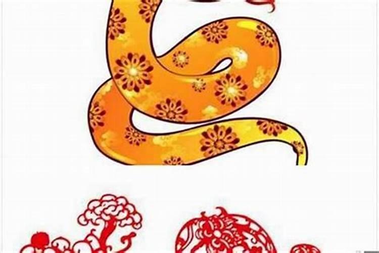 带康字的公司名称