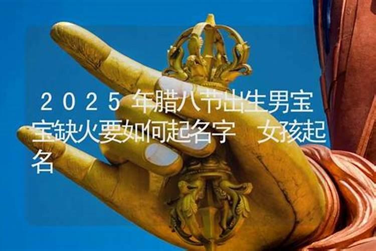 2025年1月10日腊八节女宝八字五行查询,取什么名字吉利