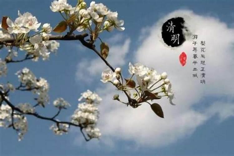 清明节是中国的“传统节日”吗？为什么按阳历(4月5号)来确定清明节？