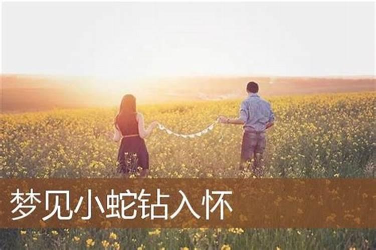 梦见美女入怀的预兆