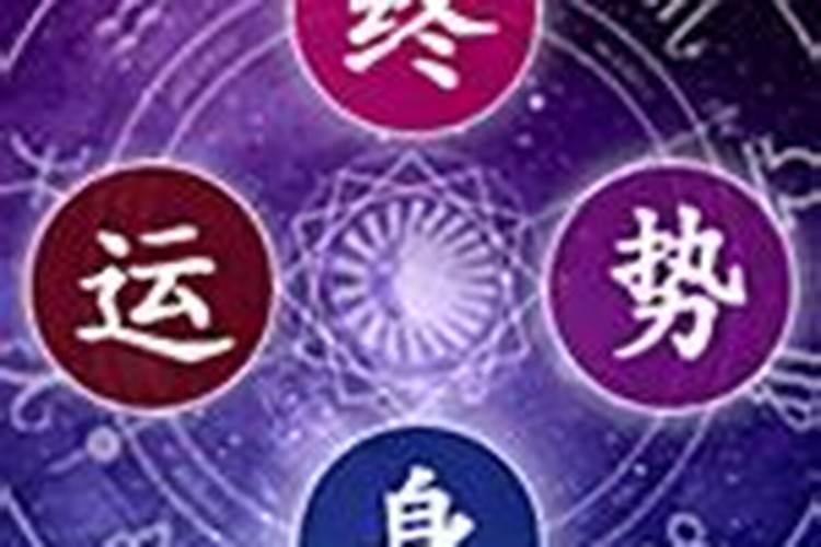 83年猪41岁后十年大运运程2024