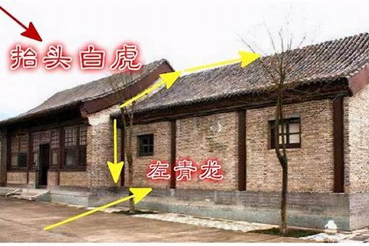 二月二龙抬头,为什么没有凤抬头？