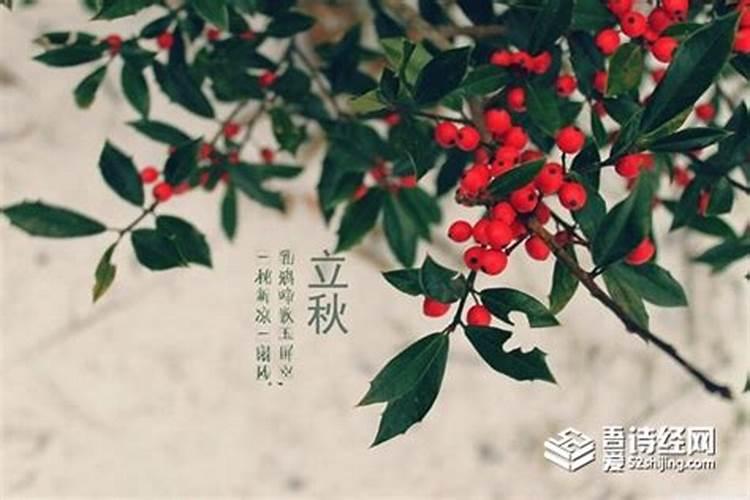 立秋节气吃什么传统美食 立秋节气吃传统美食介绍