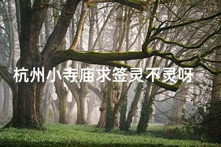 2025犯太岁的属相都是什么