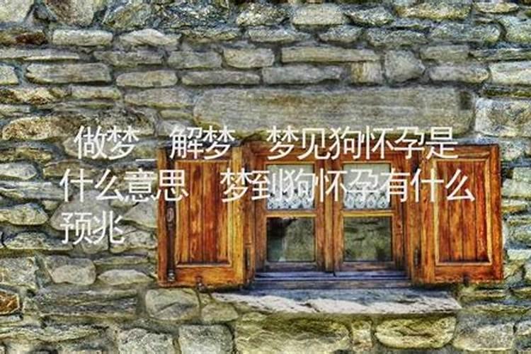 梦见狗狗怀孕什么预兆 梦见狗狗怀孕好不好？