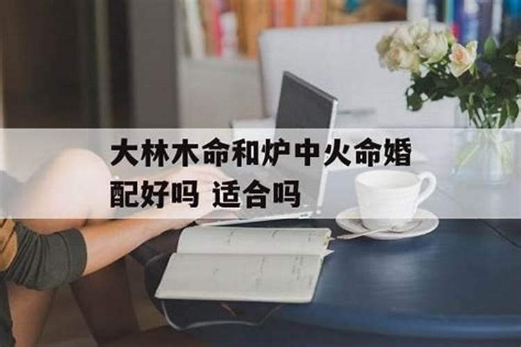 1997年几月份的牛最好 财运在哪个方向？