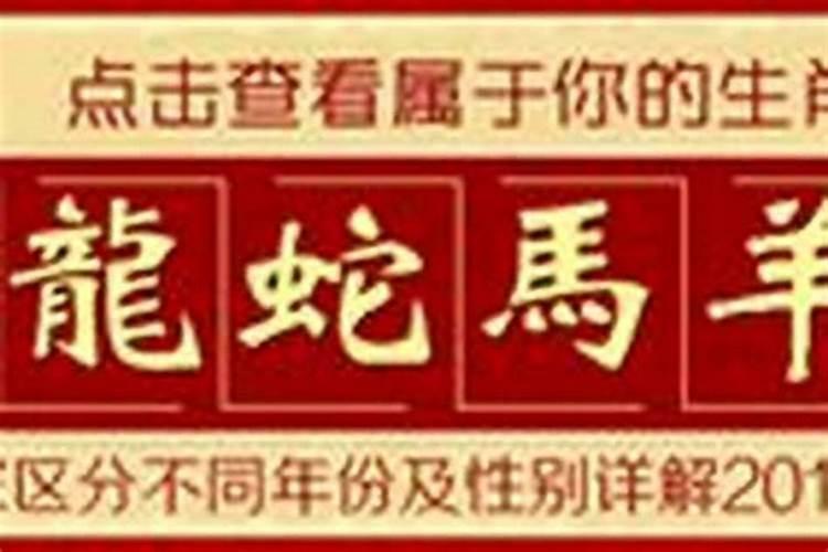 辛巳年是什么命