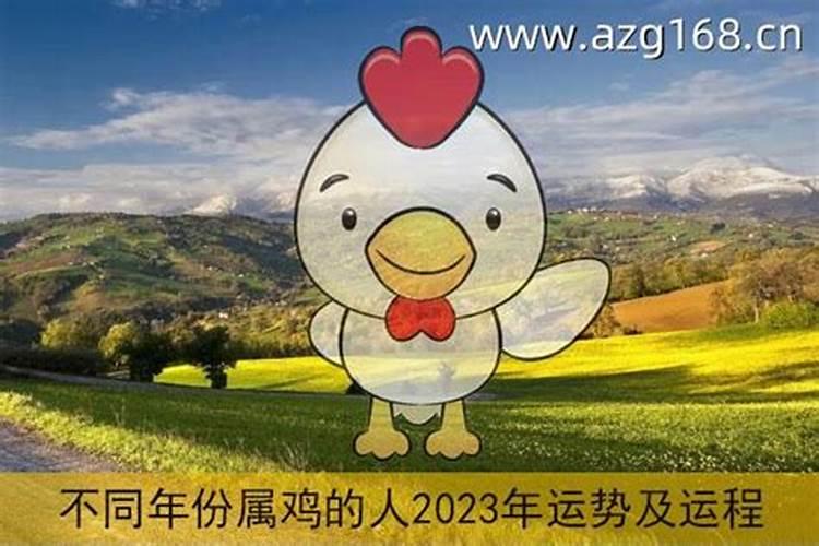 81年鸡2025年运势
