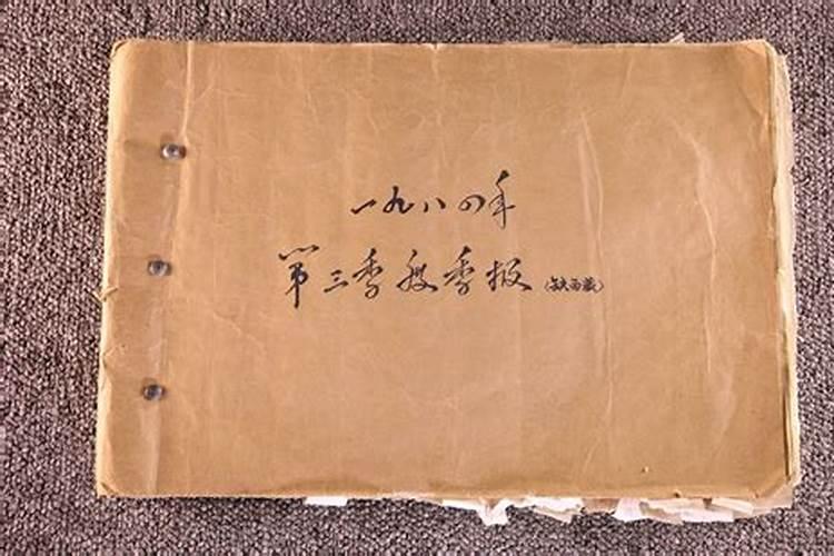 1984鼠女的命运