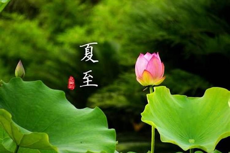 梦见下雨屋子多处漏雨