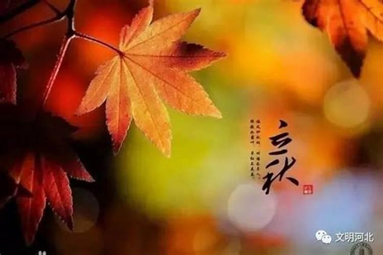 2021牛年农历七月十六处暑出生好不好,命理五行缺什么？