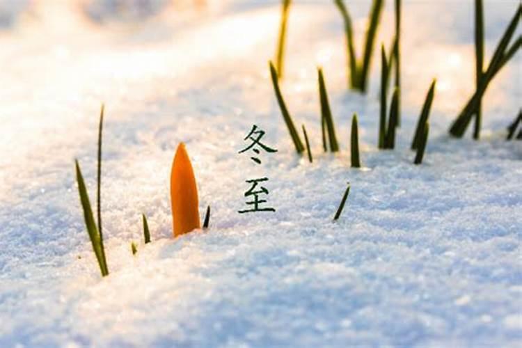 冬至前三天交运是三天还是一天冬至前三天交运是三天都算吗