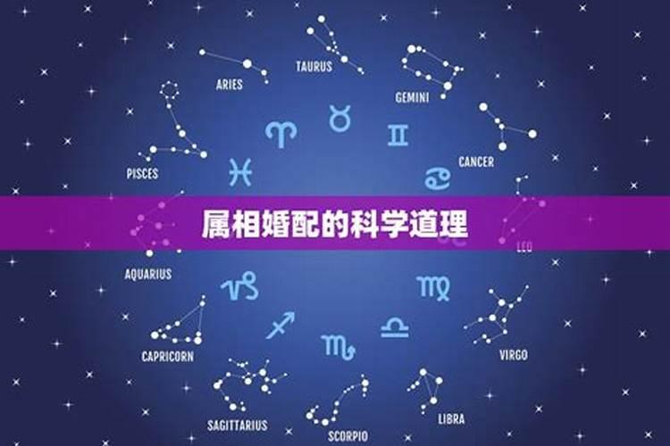 属相配不配？
