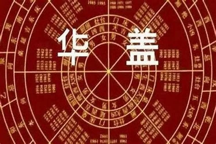 怎样查自己是哪种仙缘