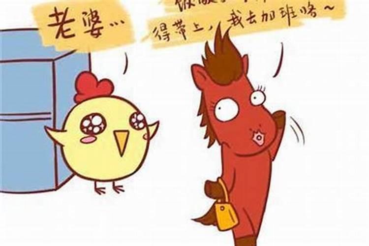 属马和属鸡犯冲吗 要怎么化解？