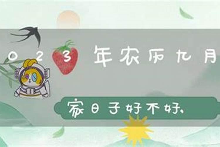 八月十五可以搬家吗