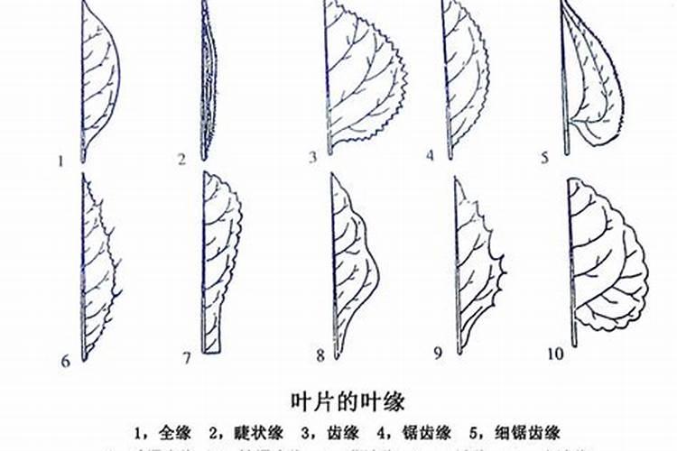 什么叫“化太岁”？
