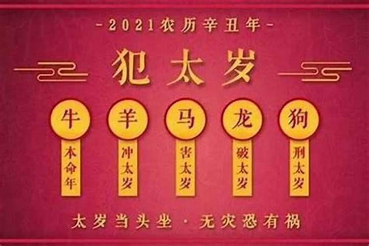 梦见猫是仙家托梦吗