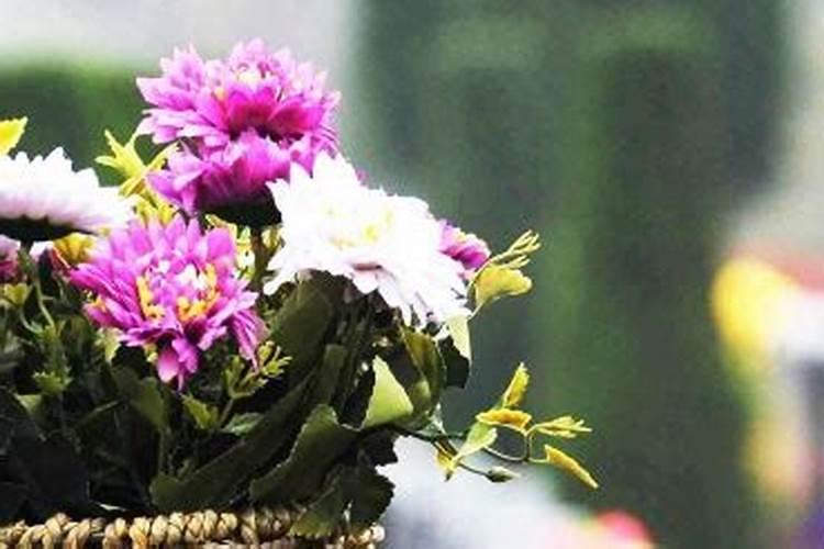 清明祭祖时间有什么讲究