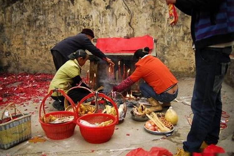 今年属猪的运气会怎么样