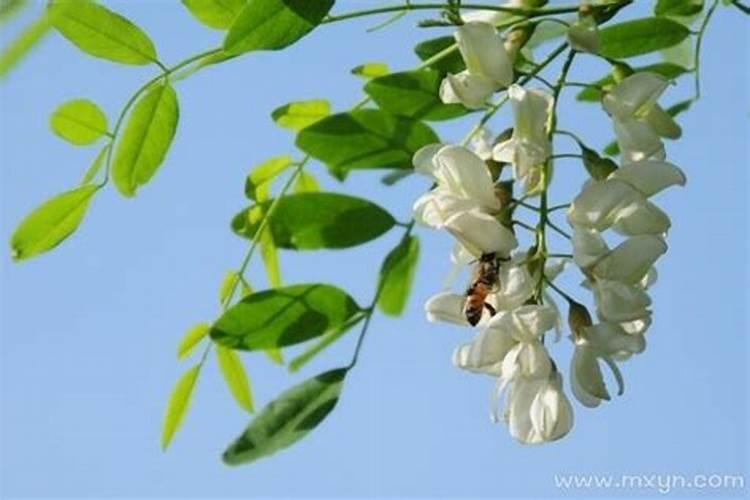 属猴的人哪年犯太岁 这三年要注意？