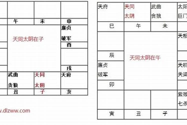 命宫——天同入