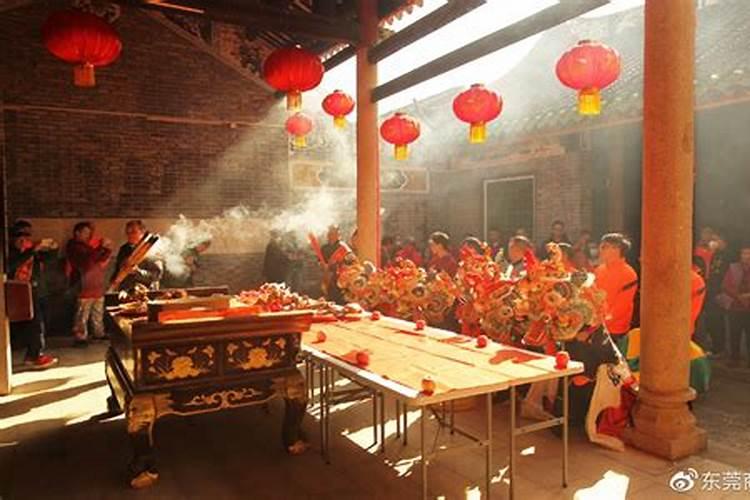 梦见好多猫进家里是什么预兆