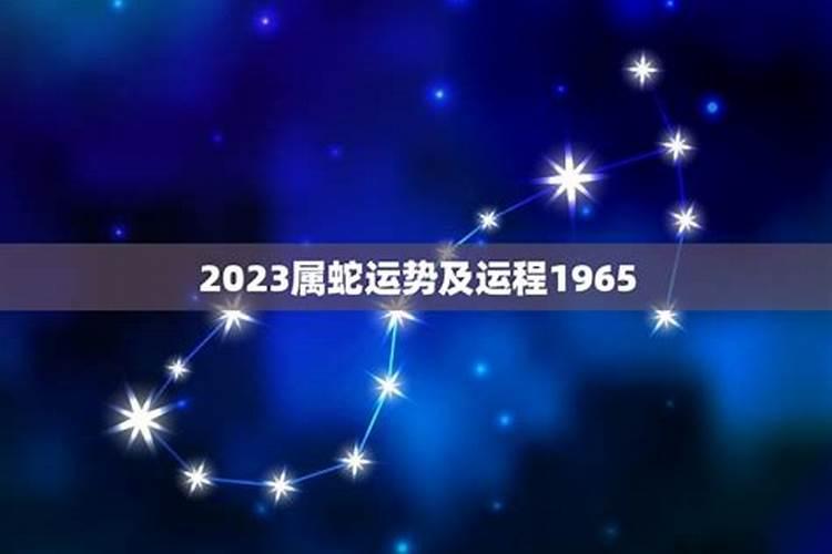 65年属蛇人2025年运程