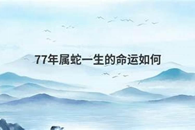 为什么77年蛇女命不好,1977蛇女的后半生婚姻