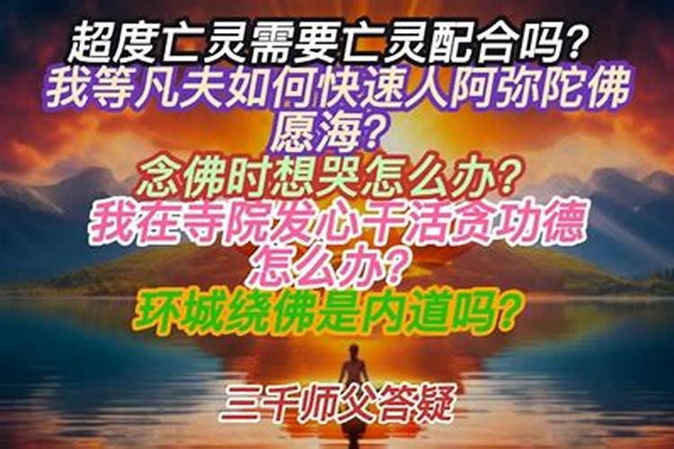 2025年小年夜春晚有哪些卫视