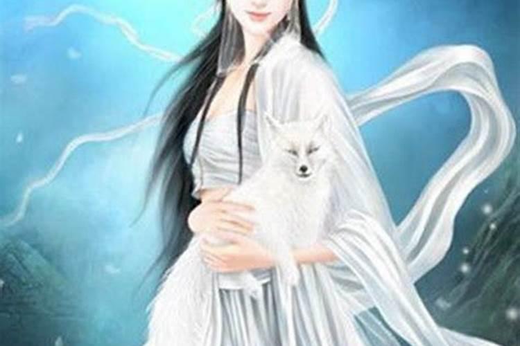 男属猴和女属蛇合不合？