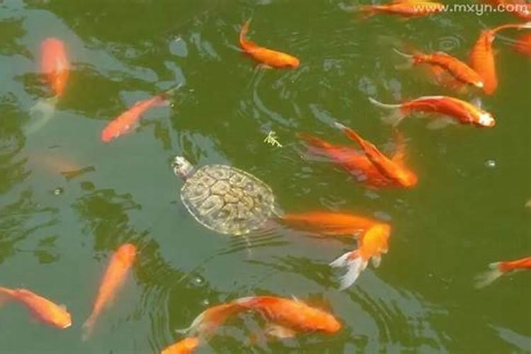 冬至的十大习俗？