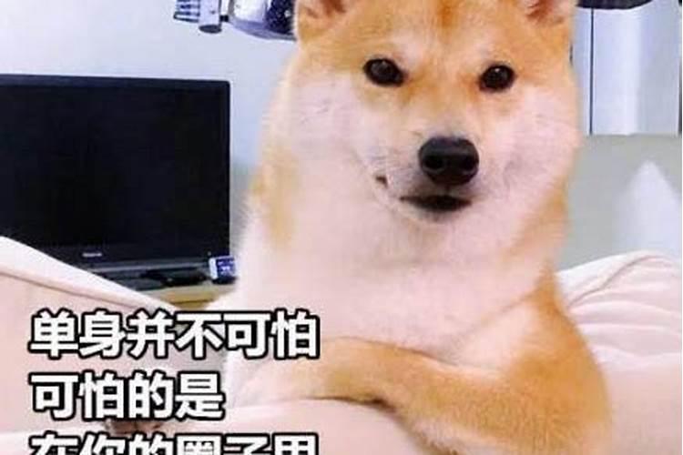 七夕专场？最适合情侣的地方,我只想带你去秦岭洞天福地