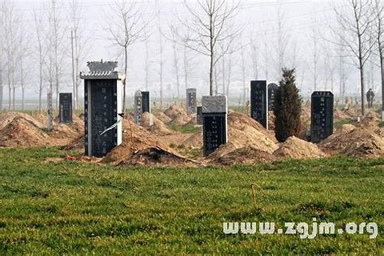 梦到和别人一起挖坟预示着什么