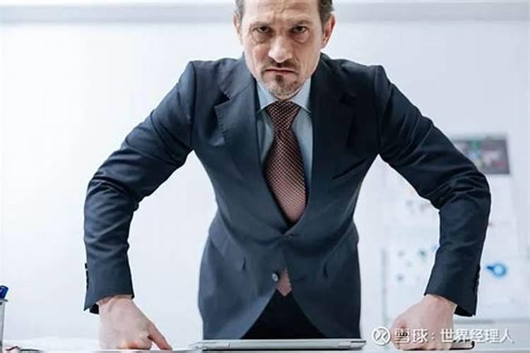 梦见老板发脾气