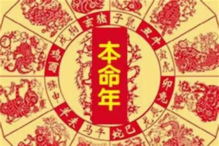 深圳过年有什么好玩的地方