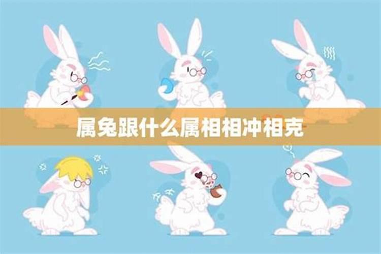 属兔人一生最克3个人,属兔人和什么属相最不合拍