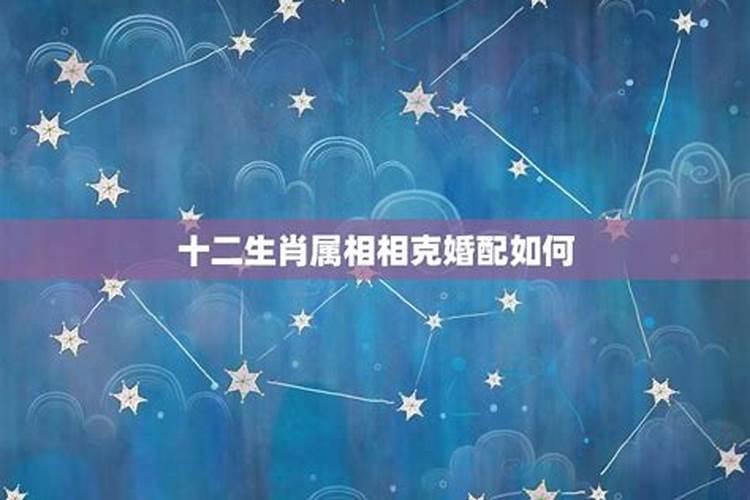 梦见连续前女友的预兆