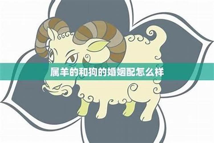 71年出生今年财运如何,71年属猪51到52岁好运气