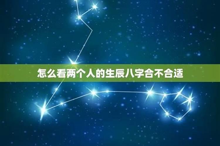 1971年2025年属猪人的全年运势