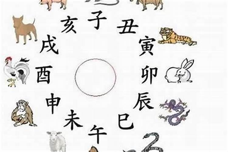 12生肖中,什么生肖最招财