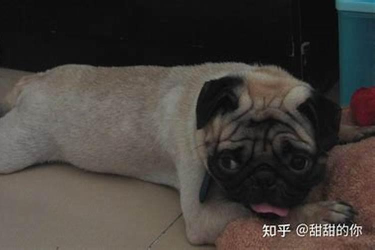 腿关节痣相图,痣相图解大全