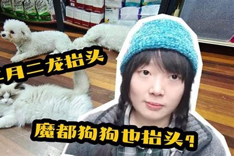 描写狗狗凶猛的样子的句子
