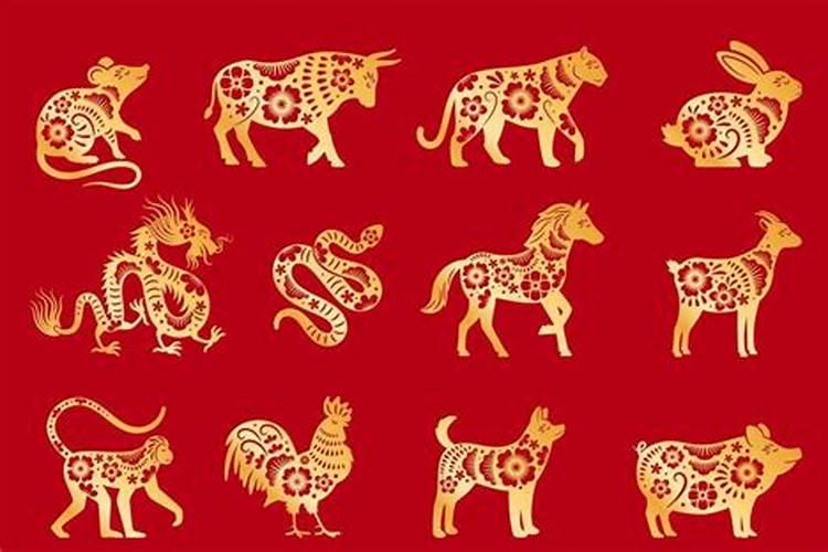 如何摆放五帝钱,摆放五帝钱的最佳方位