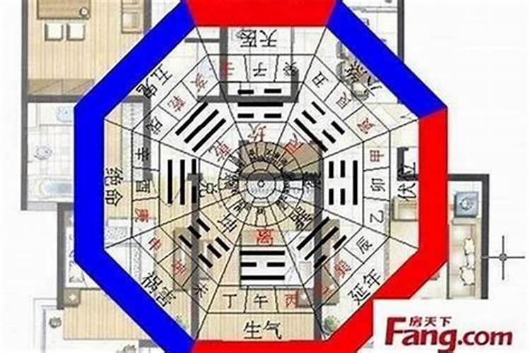生肖猪1995年2025年运势如何 生肖猪1995年2025年全年运势