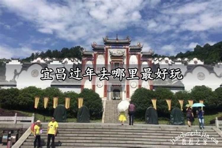 杨威的妻子