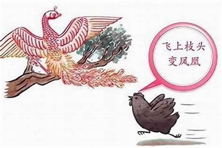 属猪婚配哪个属相最好