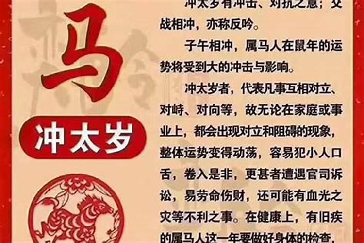 结婚属猪和什么属相好