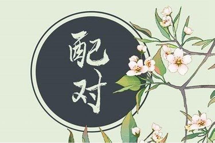 水瓶男和巨蟹女合适吗
