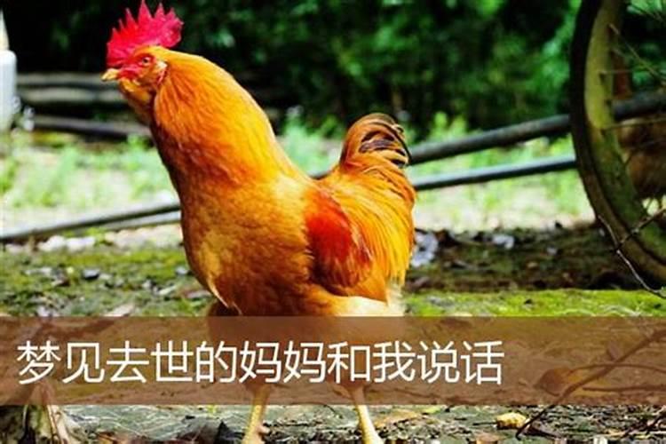 属羊人带什么避小人,属羊人的贵人与小人